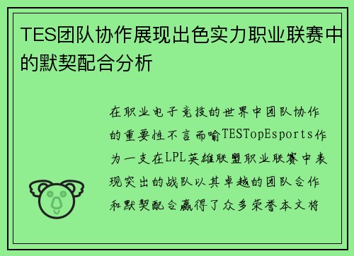 TES团队协作展现出色实力职业联赛中的默契配合分析